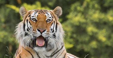 Serene Riverside 6BR Luxury Retreat in Curdridge