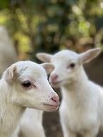 HACIENDA ILUMINADA ECO RETREAT