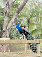 HACIENDA ILUMINADA ECO RETREAT