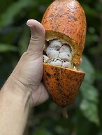 HACIENDA ILUMINADA ECO RETREAT