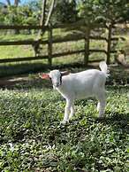 HACIENDA ILUMINADA ECO RETREAT