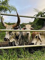 HACIENDA ILUMINADA ECO RETREAT