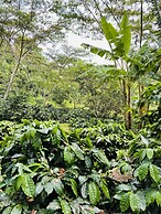 HACIENDA ILUMINADA ECO RETREAT