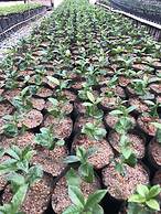 HACIENDA ILUMINADA ECO RETREAT