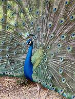 HACIENDA ILUMINADA ECO RETREAT