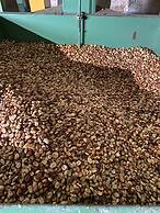 HACIENDA ILUMINADA ECO RETREAT