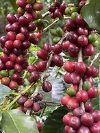 HACIENDA ILUMINADA ECO RETREAT