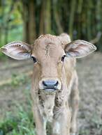 HACIENDA ILUMINADA ECO RETREAT