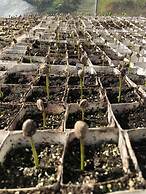 HACIENDA ILUMINADA ECO RETREAT