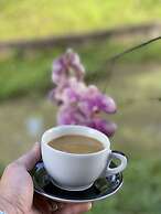 HACIENDA ILUMINADA ECO RETREAT