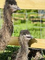 HACIENDA ILUMINADA ECO RETREAT