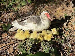 HACIENDA ILUMINADA ECO RETREAT