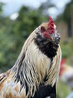 HACIENDA ILUMINADA ECO RETREAT