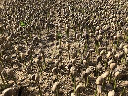 HACIENDA ILUMINADA ECO RETREAT