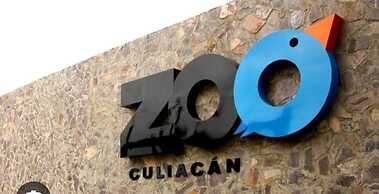 HOTEL CONFORT PLAZA Y SUITE