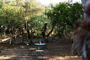 Maisonette With Palms