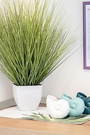 Apartments and Room Poesia