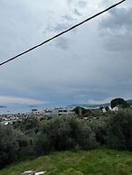 Villa Theodora Skiathos