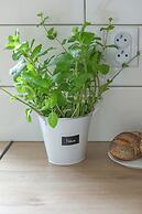 Beautiful House With Garden by Renters