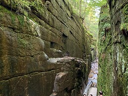 B11 NEW Awesome Tiny Home With A C Mountain Views Minutes to Skiing Hi