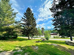 B11 NEW Awesome Tiny Home With A C Mountain Views Minutes to Skiing Hi