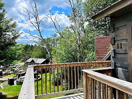 B11 NEW Awesome Tiny Home With A C Mountain Views Minutes to Skiing Hi