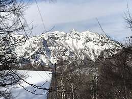 New togakushi schiheil