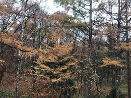 New togakushi schiheil