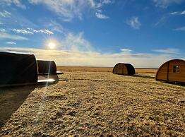 Starlight Camping Pods