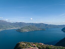 Artemisia in Parzanica