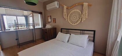 Sole Foca - Adult Only