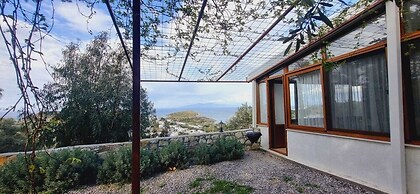 Sole Foca - Adult Only