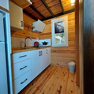 Sole Foca - Adult Only