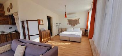 Sole Foca - Adult Only