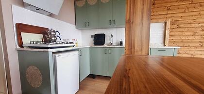 Sole Foca - Adult Only