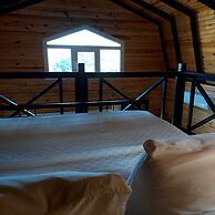 Sole Foca - Adult Only