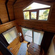 Sole Foca - Adult Only