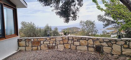 Sole Foca - Adult Only