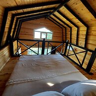 Sole Foca - Adult Only