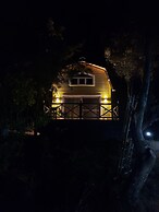 Sole Foca - Adult Only