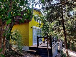 Sole Foca - Adult Only