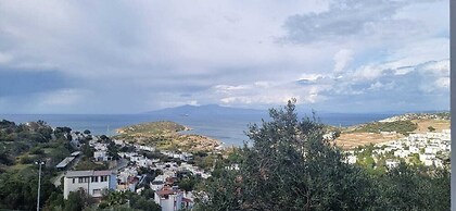 Sole Foca - Adult Only