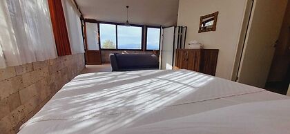 Sole Foca - Adult Only