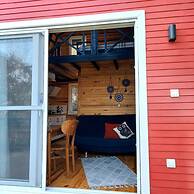 Sole Foca - Adult Only