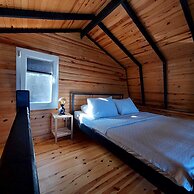 Sole Foca - Adult Only