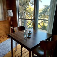 Sole Foca - Adult Only