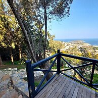 Sole Foca - Adult Only