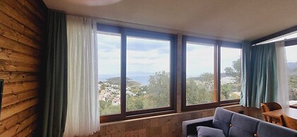 Sole Foca - Adult Only