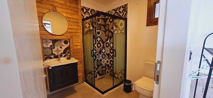 Sole Foca - Adult Only