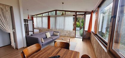 Sole Foca - Adult Only